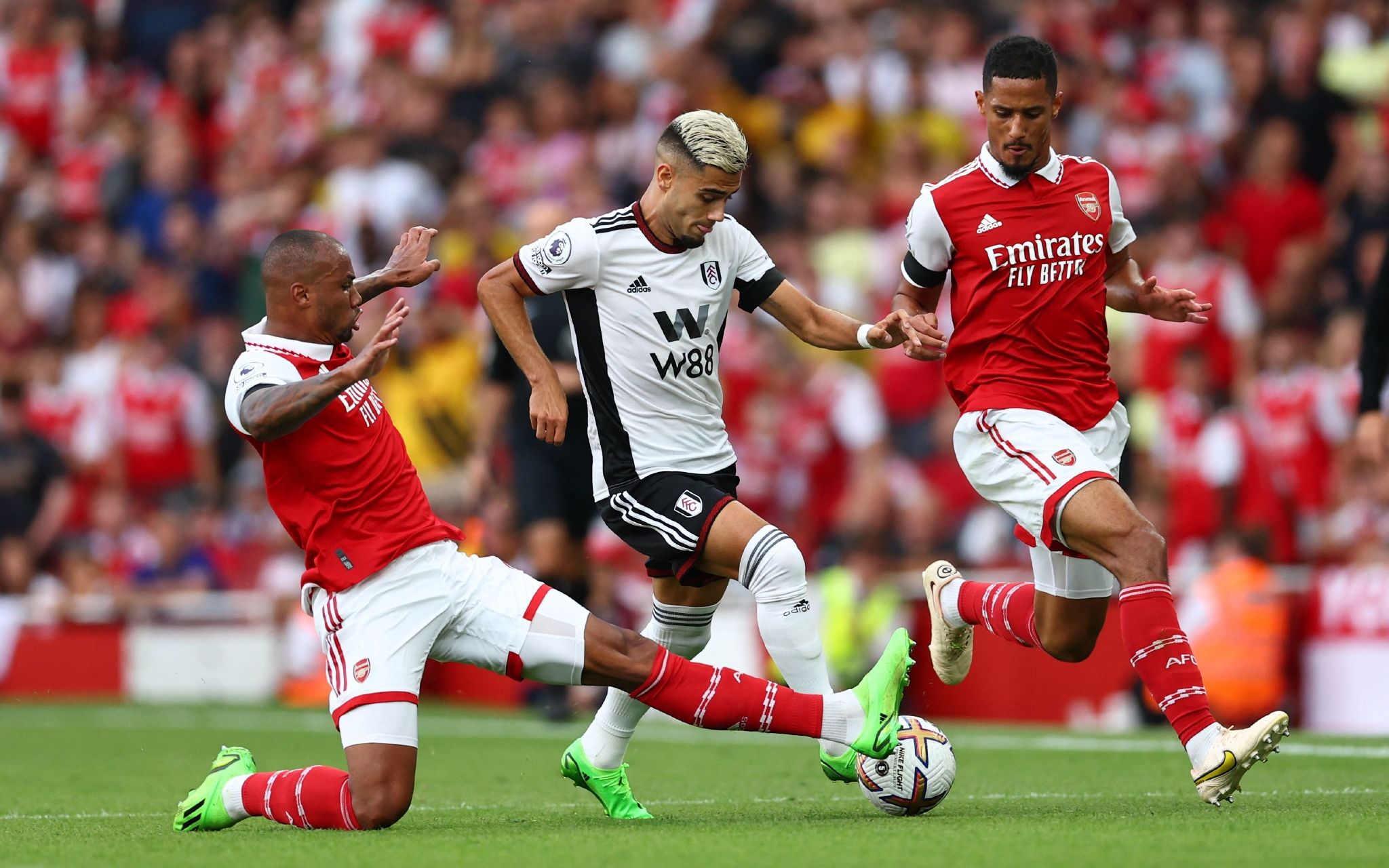 在热烈的掌 在热烈的掌